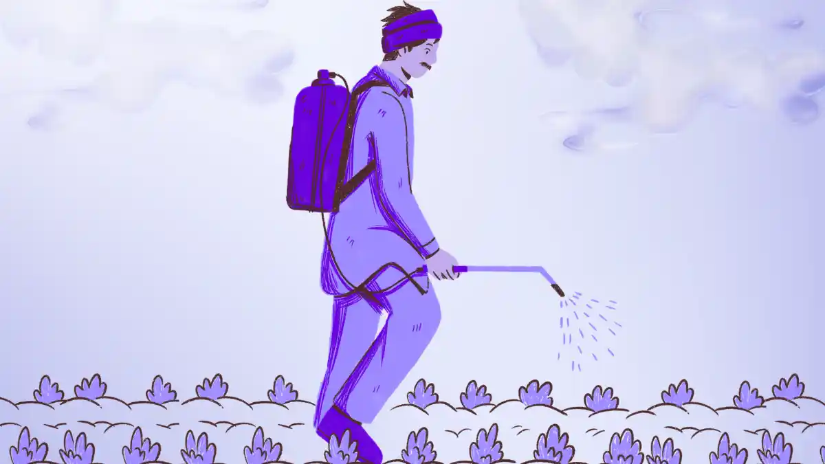 Growth Takes Time. You Keep Resetting It.